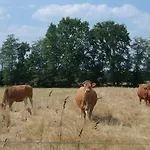 De Moane 3* Akelsbarg