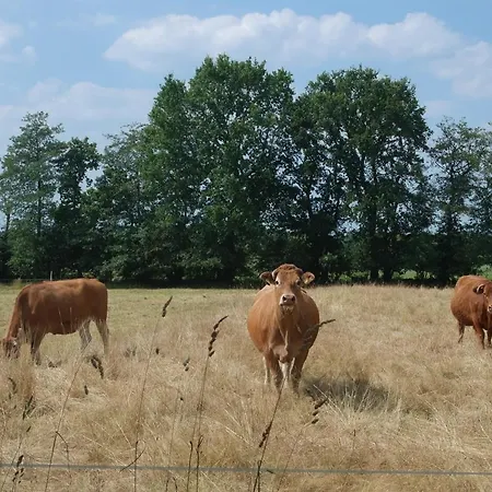 De Moane 3* Akelsbarg