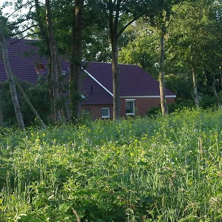 De Moane Nocleg ze śniadaniem 3*